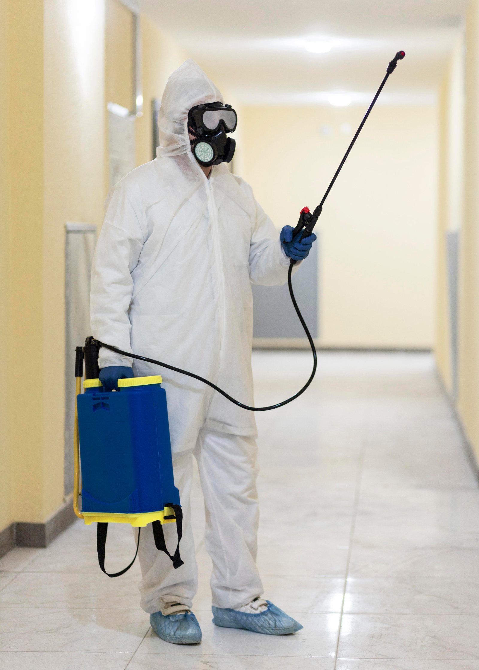 Services Of Rajdhani Pest Control