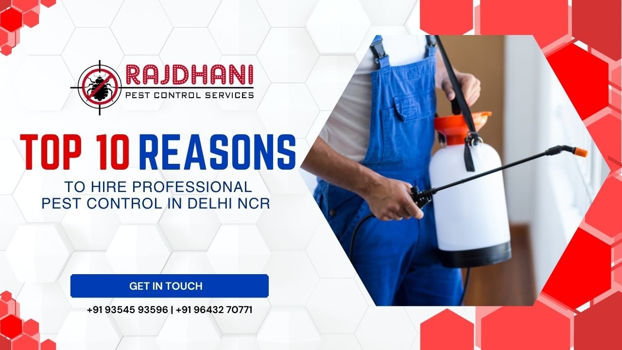 Need Pest Control Services Near Me? Get the Best in Noida