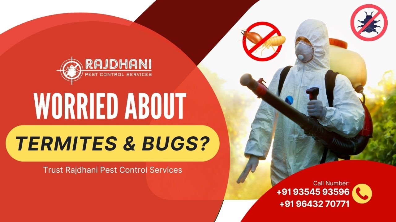 Need Pest Control Services Near Me? Get the Best in Noida