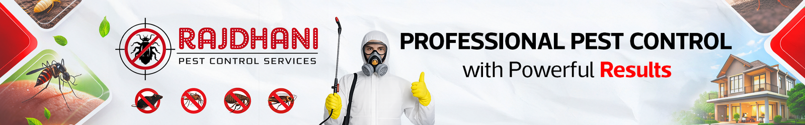 Safe and affordable pest control services for homes and offices