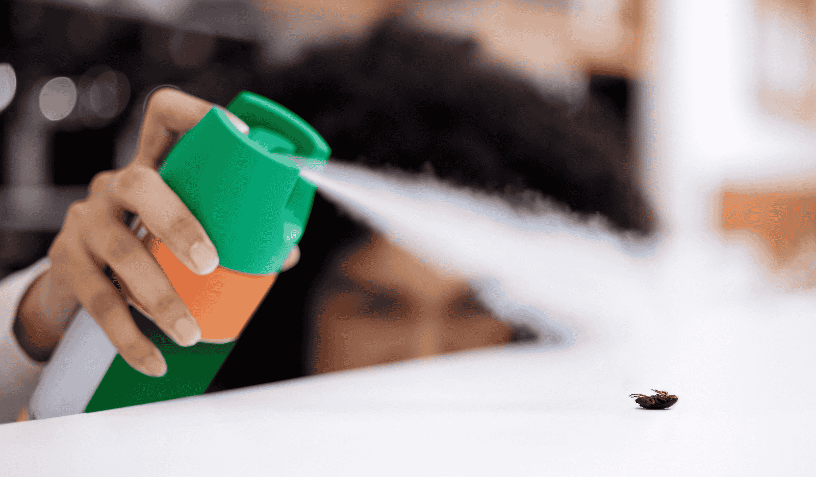 Cockroach Control